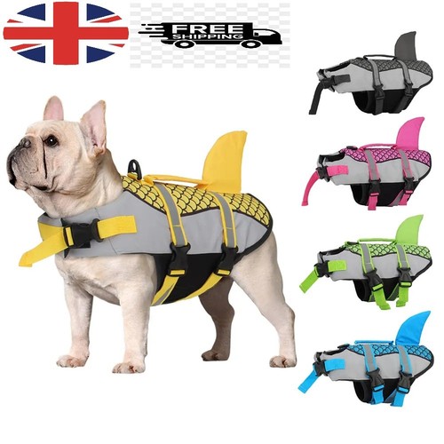 Dog life jacket - dog,