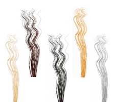 Spiral Corkscrew Curly Willow