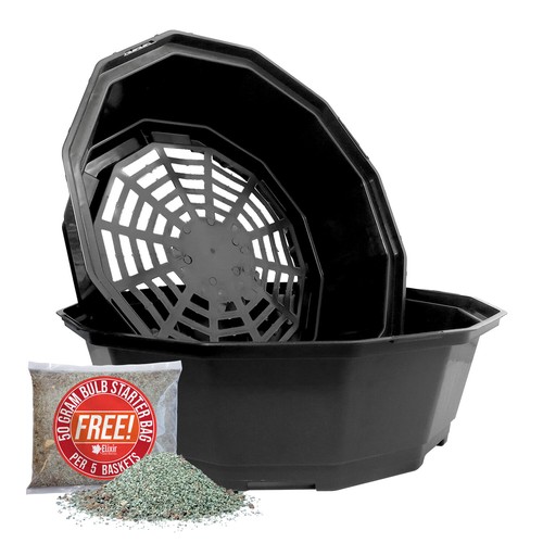 Black bulb planting baskets - planting,