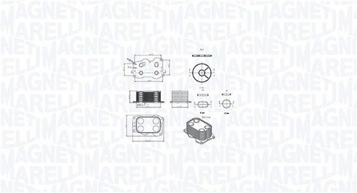 Fits magneti marelli - ✅fits,