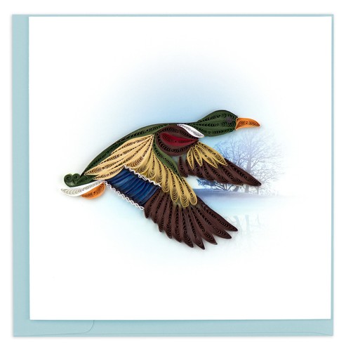 Quilling mallard duck - mallard, in