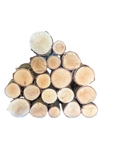 Decorative 100 birch - birch, kiln