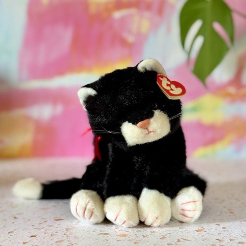 Boots the cat - 🖤, |