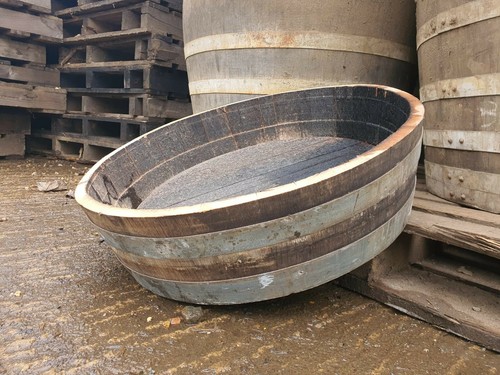 Small 25cm tall oak - oak, half