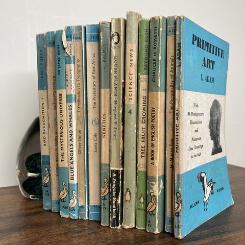 Vintage pelican penguin blue - pelican, &