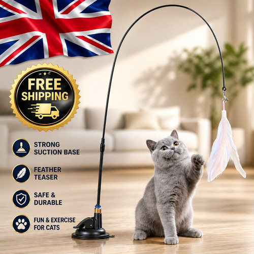 Cat kitten toy feather - cat,