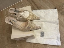 Gorgeous Emma Hope Kitten