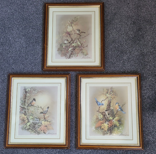 Set andres orpinas bird - set, of