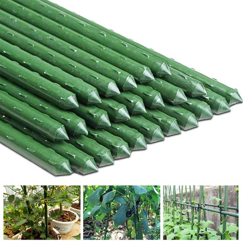 200x garden plant - 20-200x, stakes