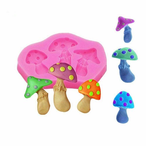 Mushrooms toadstools mould - mushrooms,