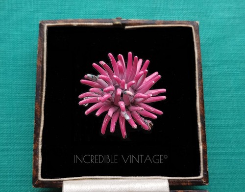 Vintage 1960s sea urchin - sea,