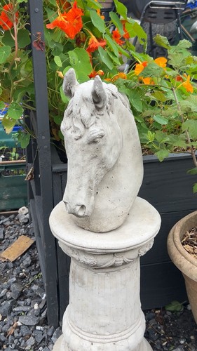Stone horse head - stone, cm