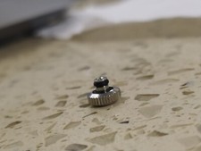 Genuine SEIKO BULLHEAD