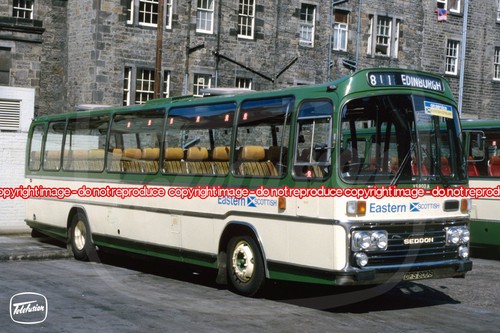Coach photo eastern - photo,