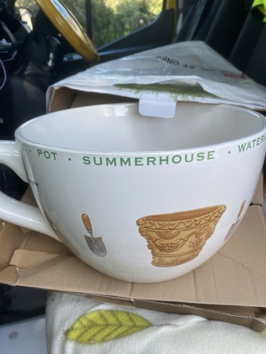 Large teacup planter - teacup,
