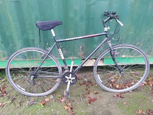 Ridgeback adventure 501 - ridgeback,