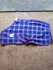 Mini Shetland Pony Purple