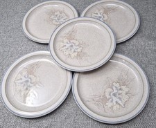 Set of 5 Denby Tasmin Side
