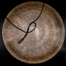 50 cm inches Extra large Tiger