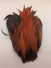 Brahma Badger Orange Cape –