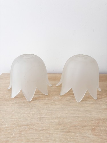 Frosted glass tulip light - tulip,