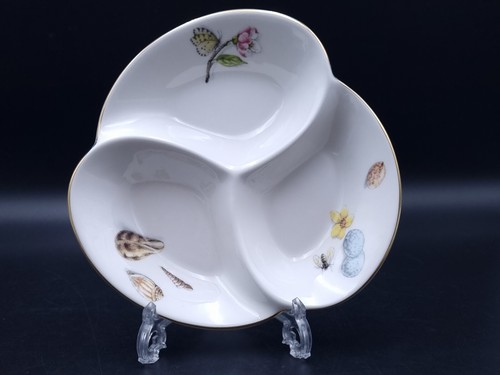 Aynsley nature delights - aynsley, nature's