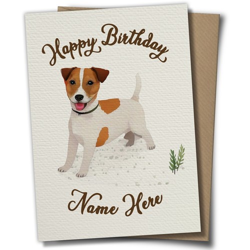 Jack russell terrier - jack,