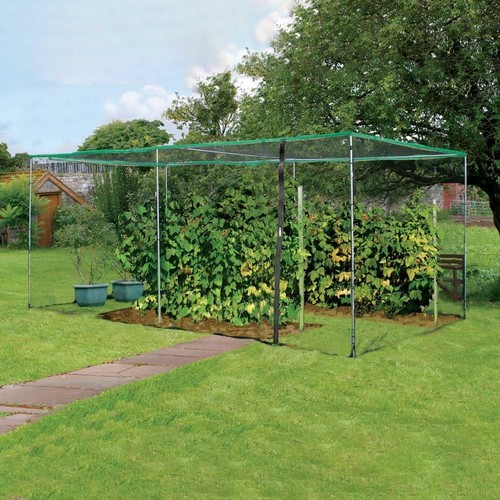Walk fruit cage - fruit, 2.5x5m