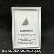 Genuine muonionalusta