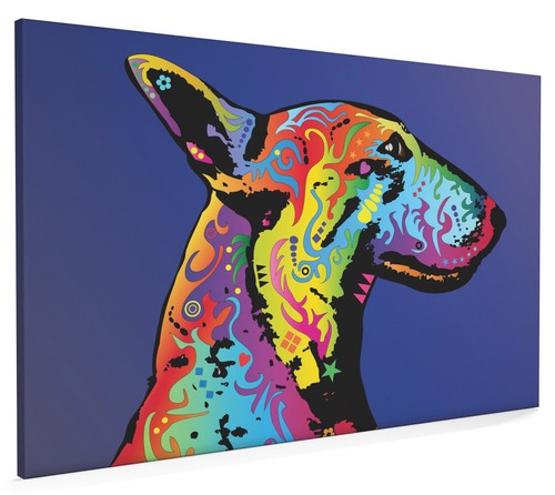 English bull terrier box - english,