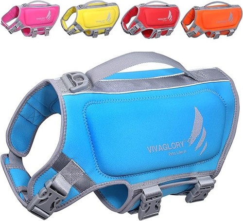 Vivaglory high buoyancy dog - vivaglory,