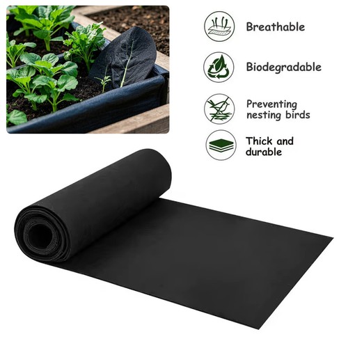 Black fabric liner - fabric,