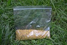 BEE POLLEN GRANULES 100gr HIGH QUALITY-100 % ORGANIC (NEW HARVEST 2025)