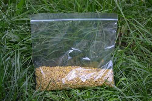 Bee pollen granules 100gr - pollen, high