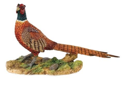 Border fine arts pheasant - border,