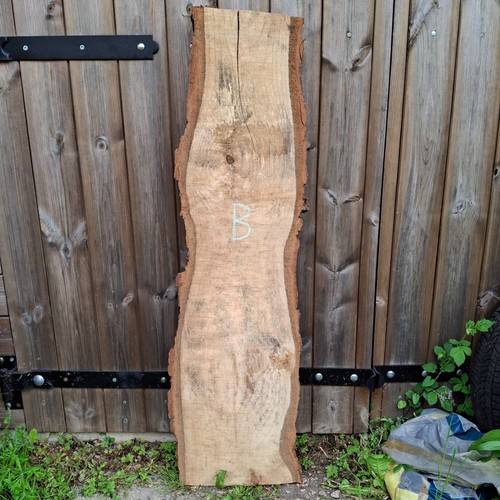 Oak wood waney - oak, live