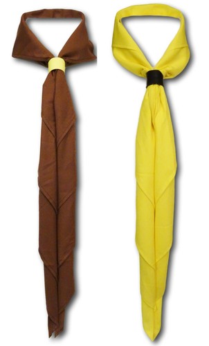Cub scout boy girl - scout,
