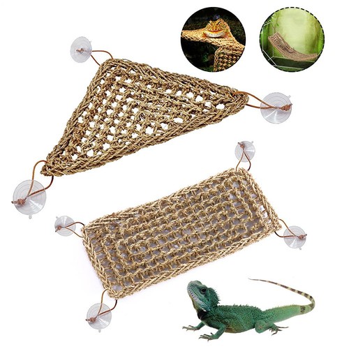 Reptile hammock basking - reptile,