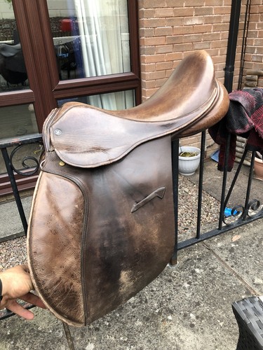 Jeffries falcon saddle - saddle, medium