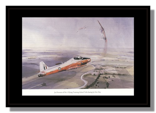 Bac jet provost fighters - jet,
