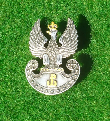 Beautifull polish army badge - beautifull,
