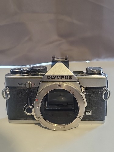 Olympus body only - ,