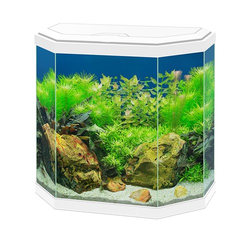 Ciano aqua aquarium - ciano,