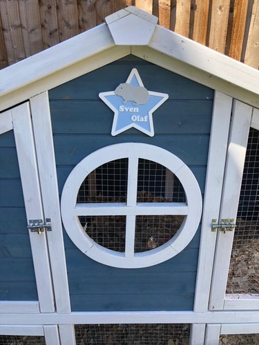 Guinea pig hutch - hutch, /