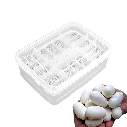 Reptile hatch box - reptile,