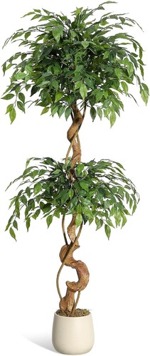 Artificial ficus tree - ficus, with