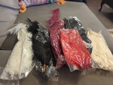 Bundle Of Large Feathers