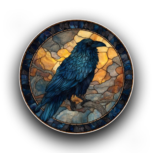 Raven crow bird - raven,