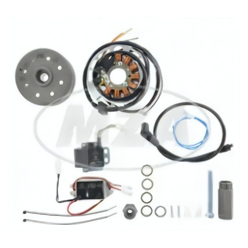 Magnetic light ignition system - light,