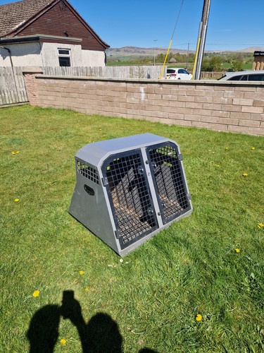 Trans double dog cage - dog, with
